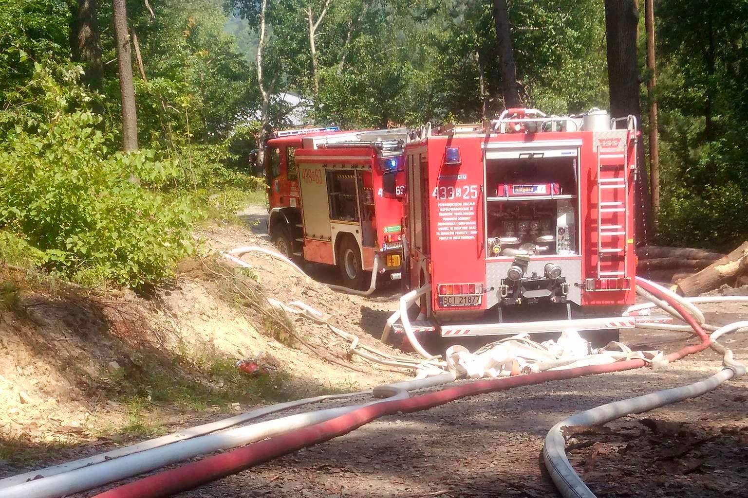 Pożar kompleksu leśnego w Ustroniu 